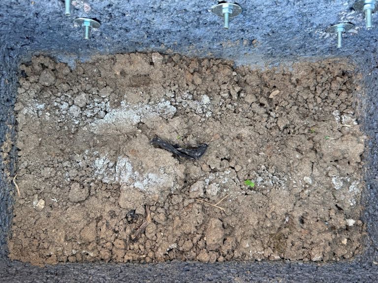 alte braune verschrumpelte Bananenschale liegt in der Erde
