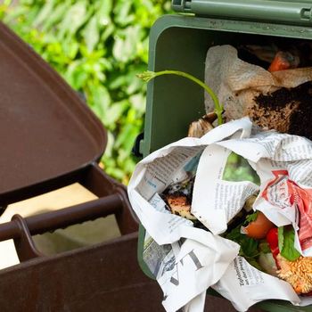 Bioabfalltonne mit in Zeitungspapier gewickelten Biomüll