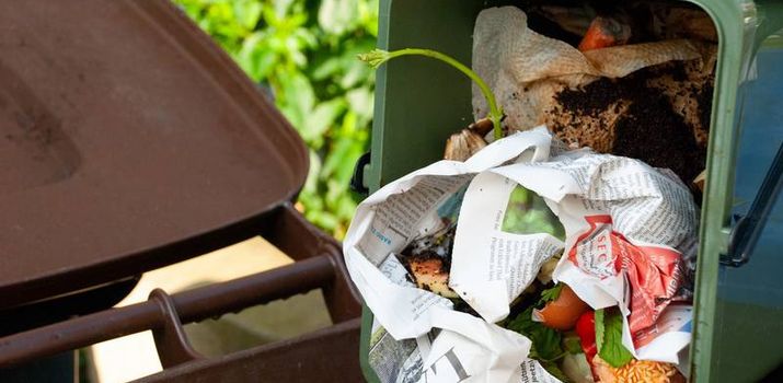 Bioabfalltonne mit in Zeitungspapier gewickelten Biomüll