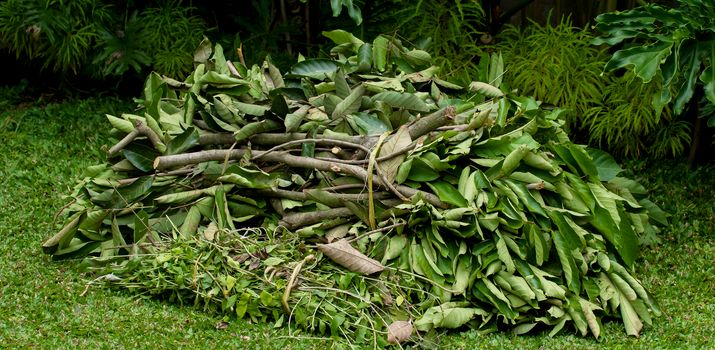 Grünschnitt-Haufen auf dem Rasen im Garten 