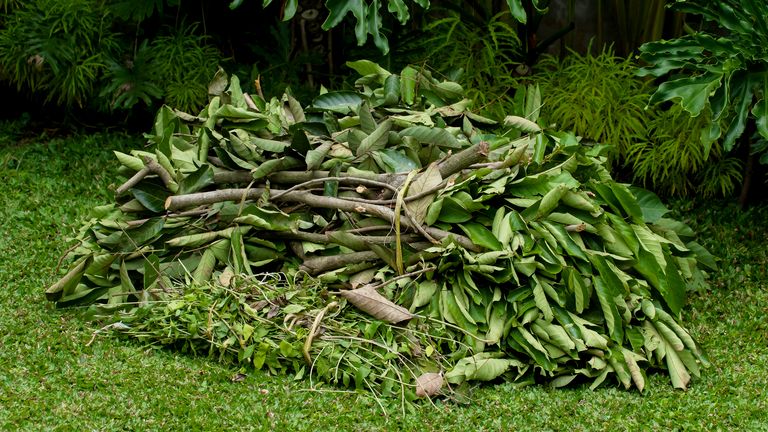 Grünschnitt-Haufen auf dem Rasen im Garten 