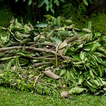 Grünschnitt-Haufen auf dem Rasen im Garten 