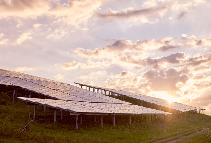 Auf der ehemaligen Kreismülldeponie Lampertheimer Wald produzieren rund 10.000 Photovoltaik-Module genug Strom für rund 567 Haushalte. Photovoltaik-Module auf der renaturierten Mülldeponie im Sonnenuntergang